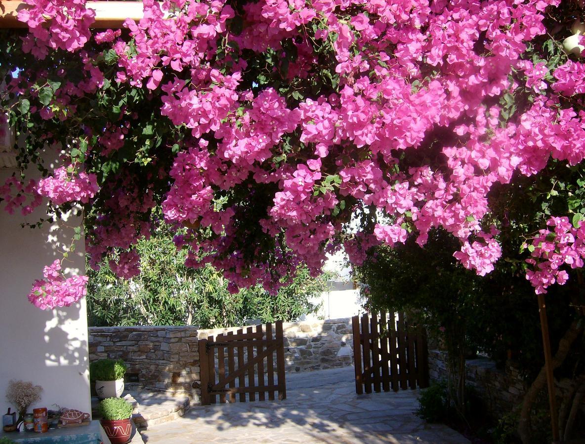 Hippocampus Studios Antiparos Buitenkant foto